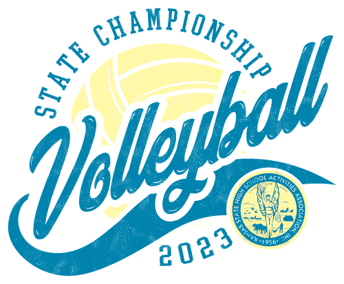 Volleyball T-Shirt Image